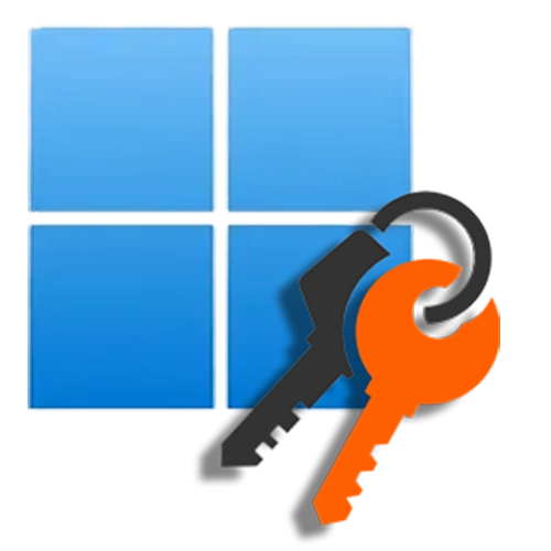 Operating system activation icon