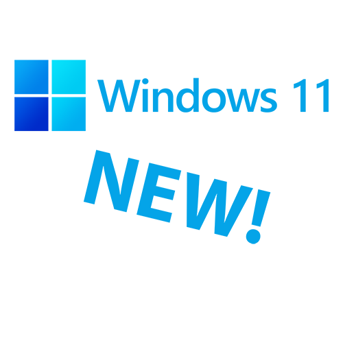 Windows 11